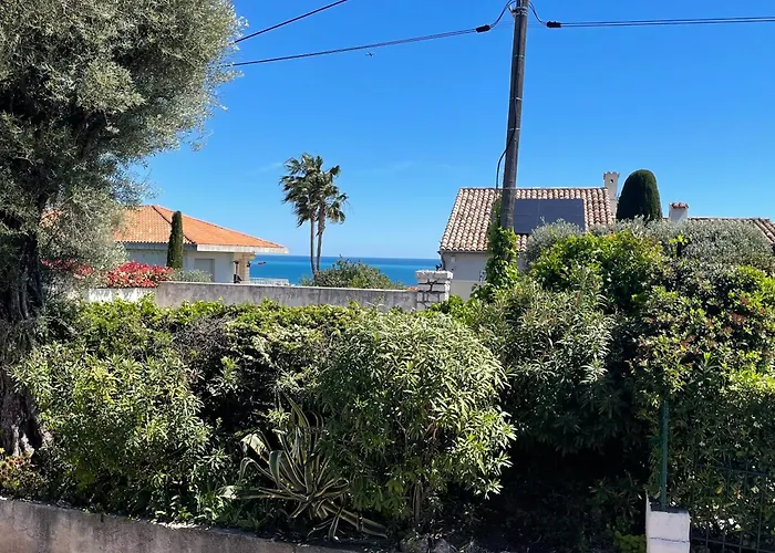 Villa Magnifique Maison 6 Personne Piscine Antibes